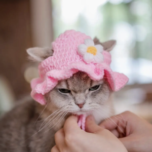 hand-crocheted-cottagecore-pet-bucket-hat